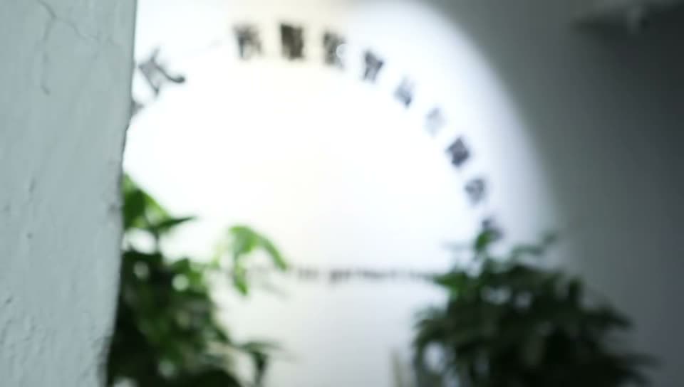 企业视频 1 封面